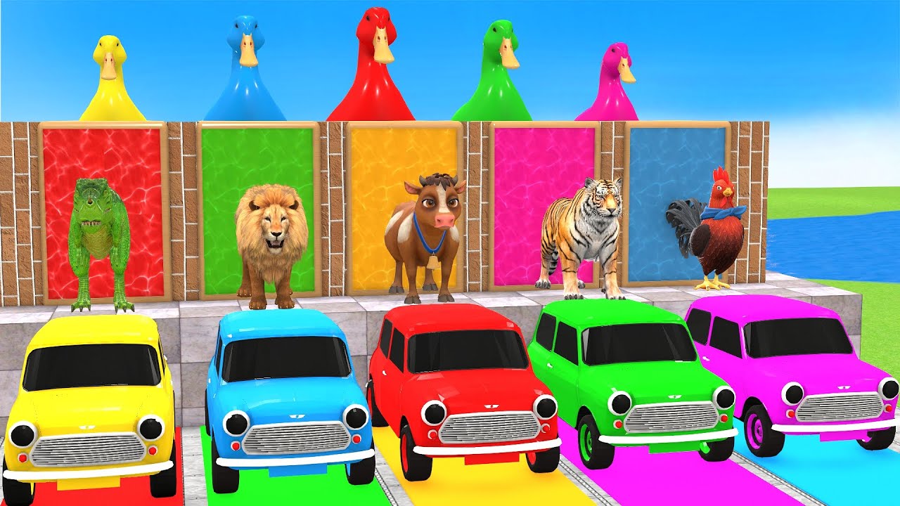 5 Giant Duck Cartoon,Cow,Elephant,Tiger,Lion,Gorilla, Paint Wild Animals Crossing Fountain Animation