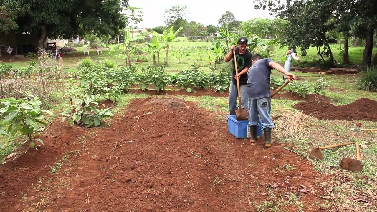 La Tierra Prometida - www.agroecologiapr.org