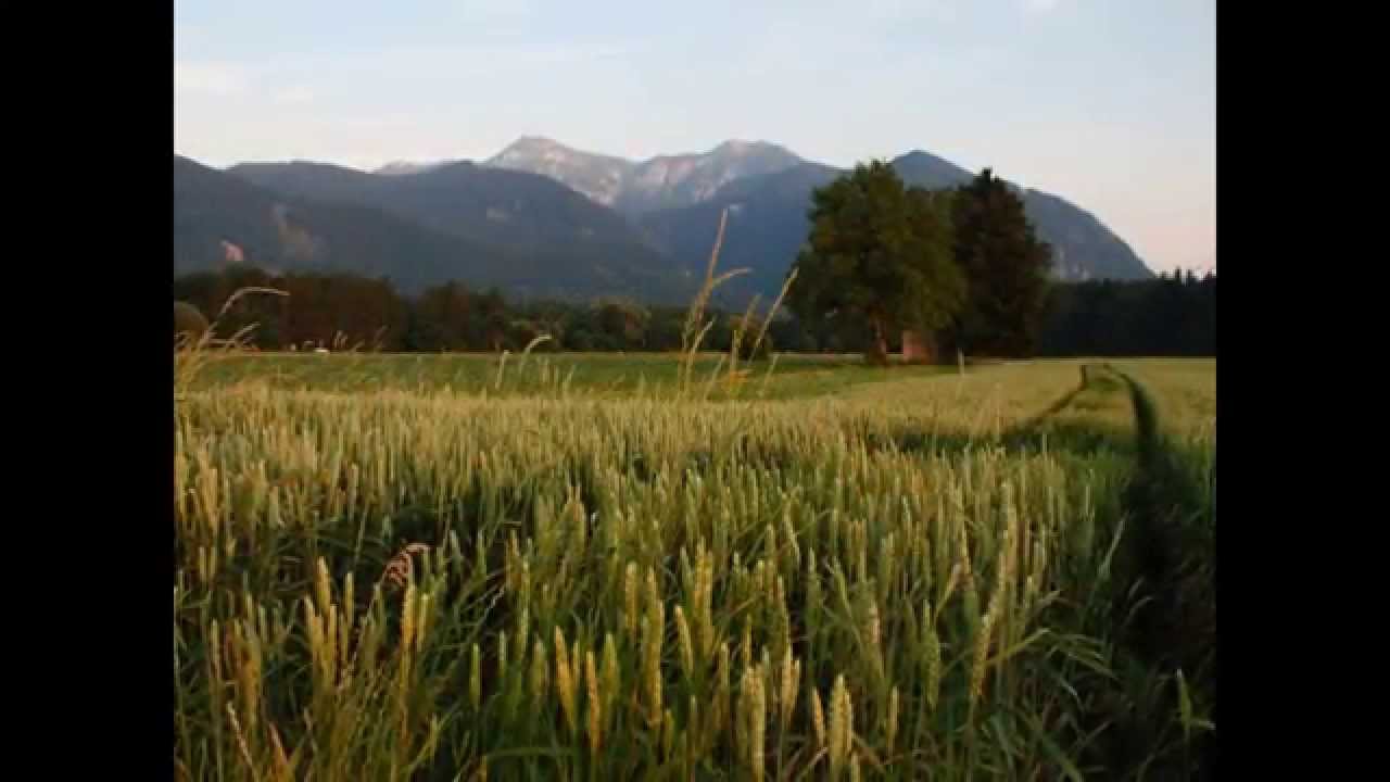 Grassau im Chiemgau - Kurz mal reingeschaut...(1)