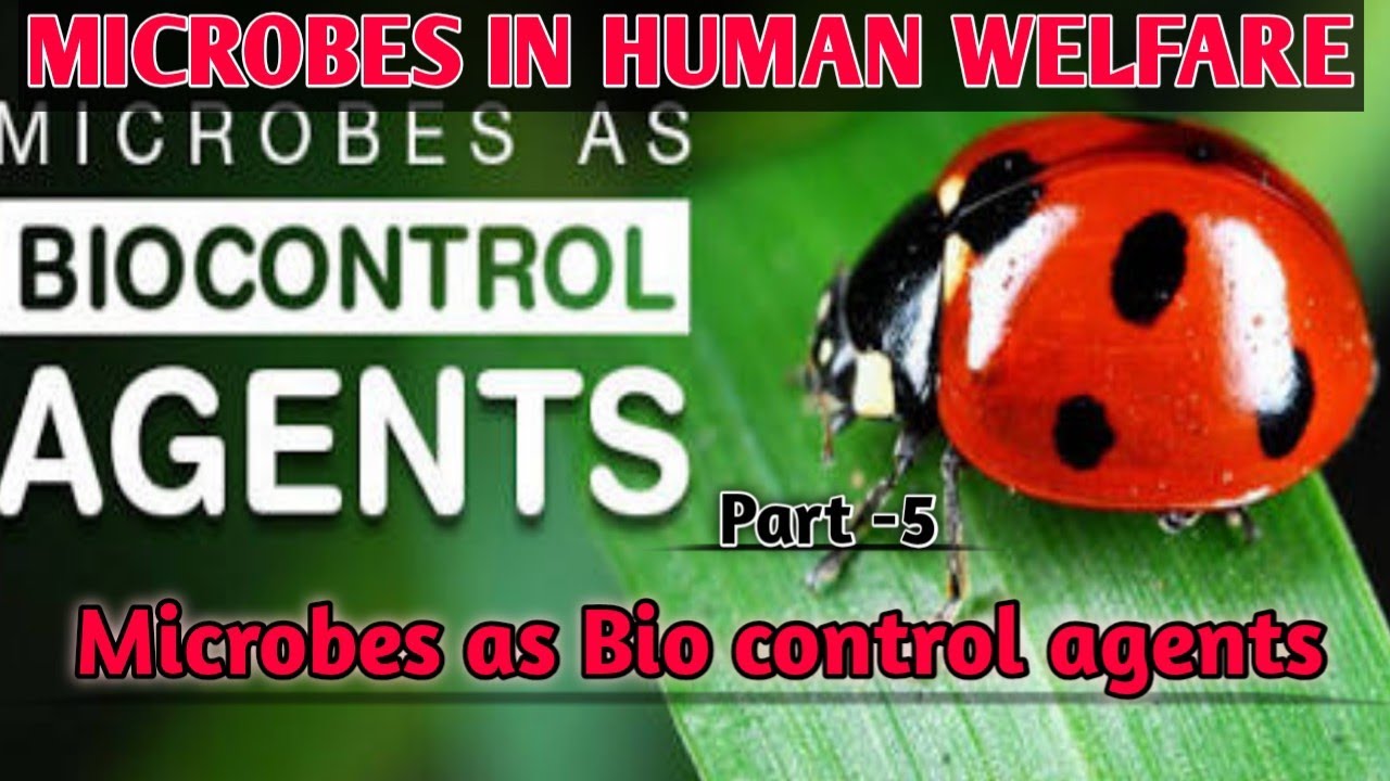 Microbes in Human Welfare - Microbes as Biocontrol Agents