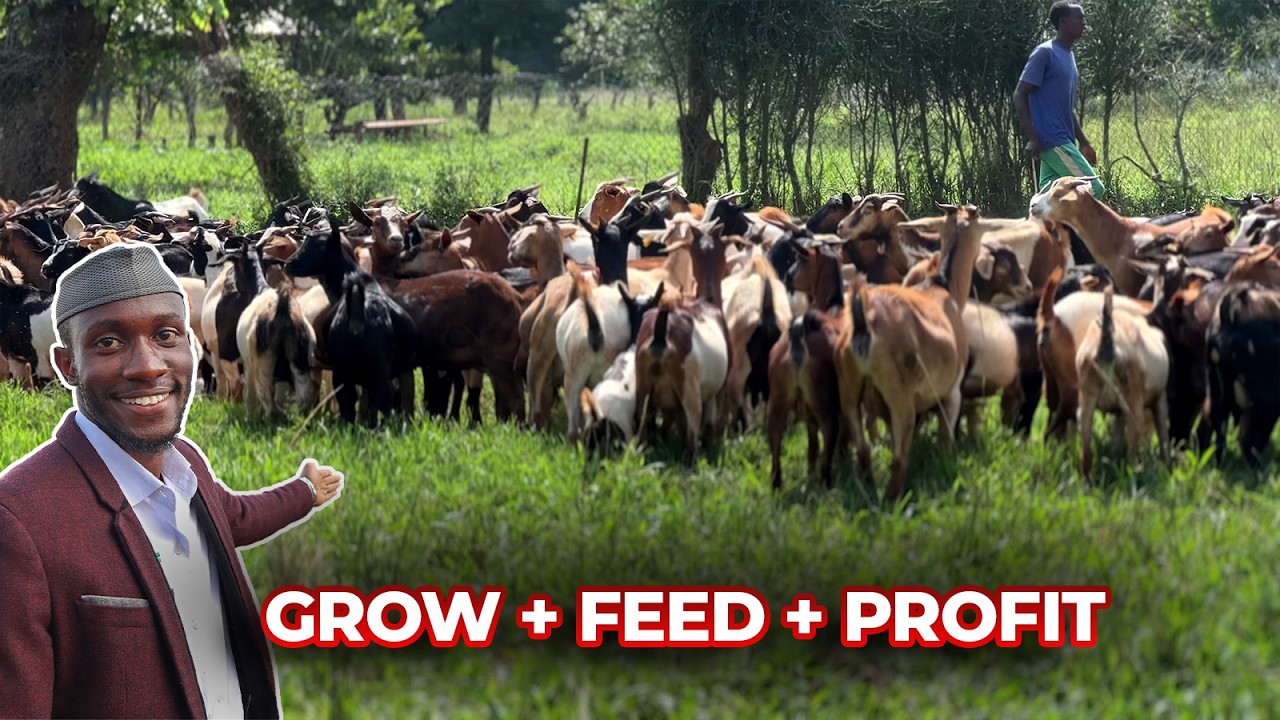 Start Small WIN BIG with Livestock Farming on Your Land! | 2026