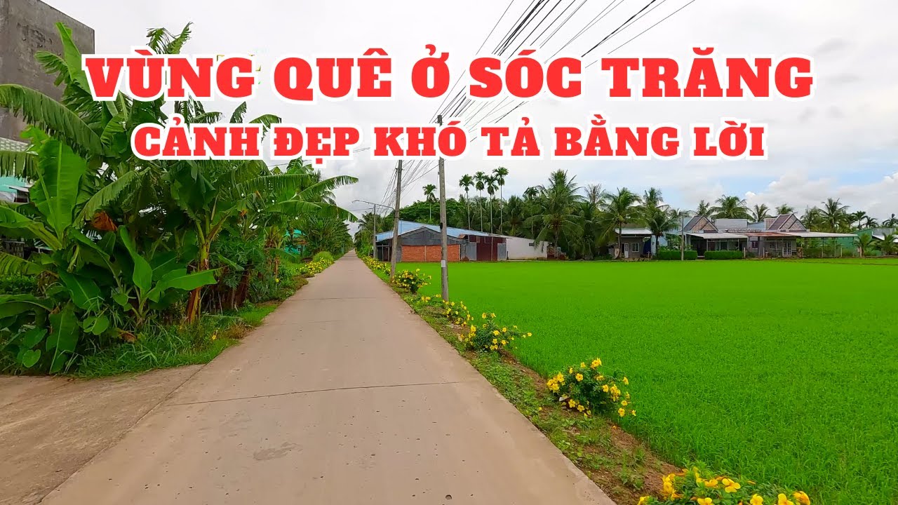 Khám phá xã Long Phú và xã Tân Hưng Huyện Long Phú Sóc Trăng