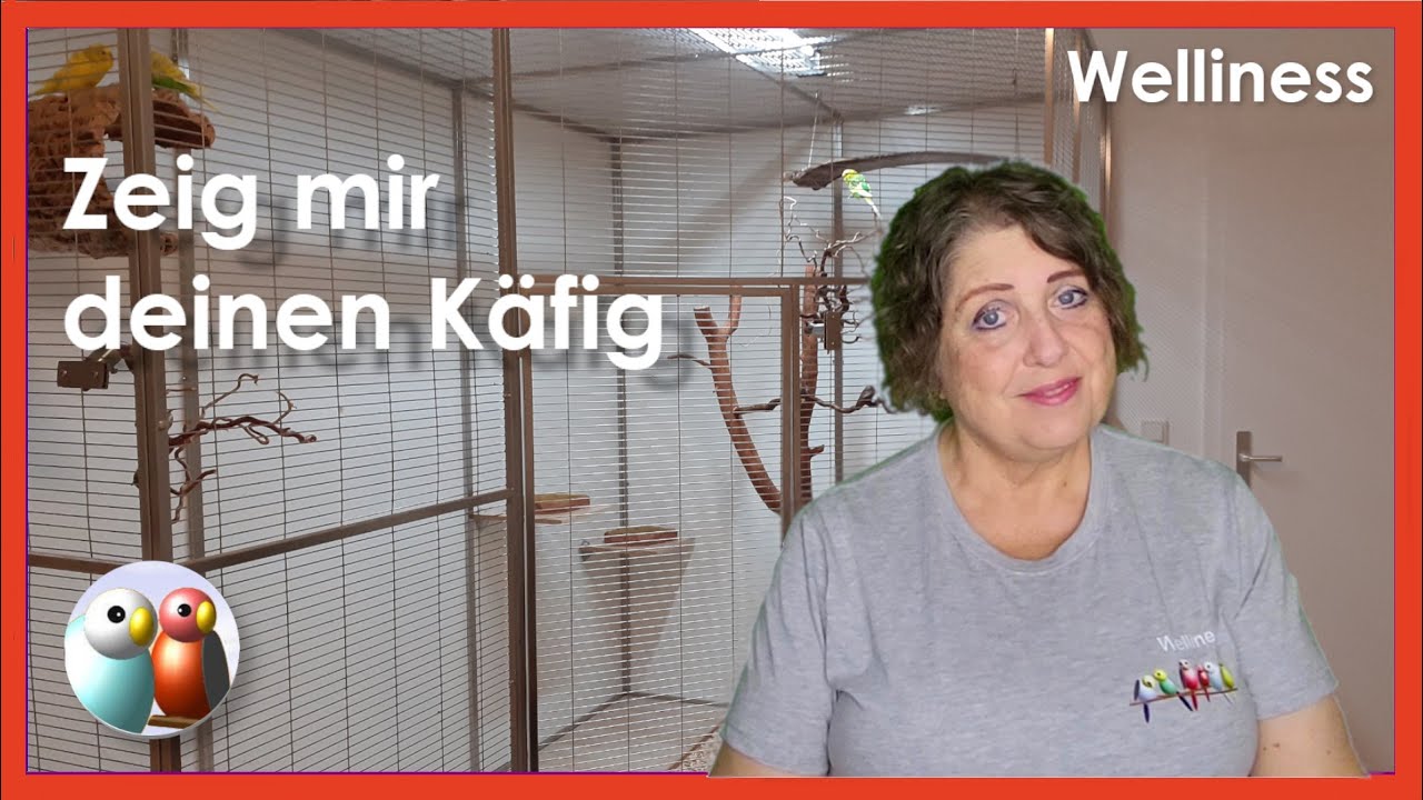 Tolle Freiflugvoliere im Vogelzimmer, Käfigbewertung
