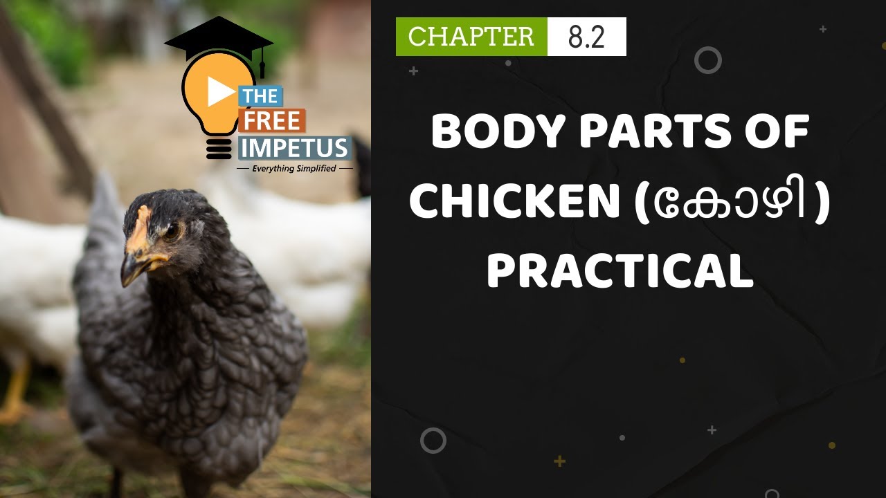 8.2 BODY PARTS OF CHICKEN (കോഴി )/ FOWL / HEN For LSM / POULTRY PRODUCTION IN MALAYALAM മലയാളം