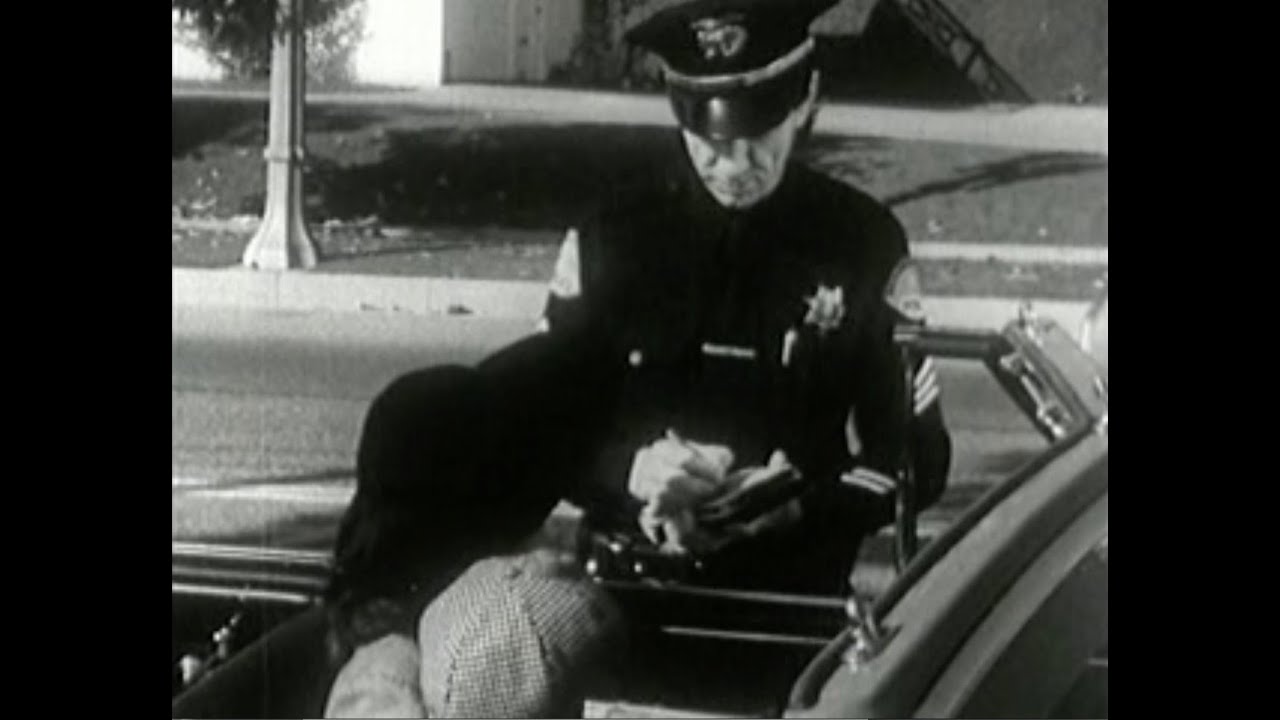 Your Police (1953)
