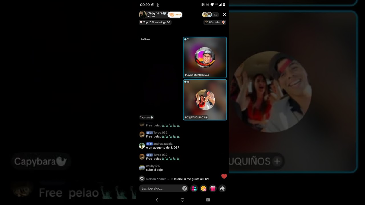 Pelao foca 🦭 y capybara 🦭 y cojo pato 666🦆