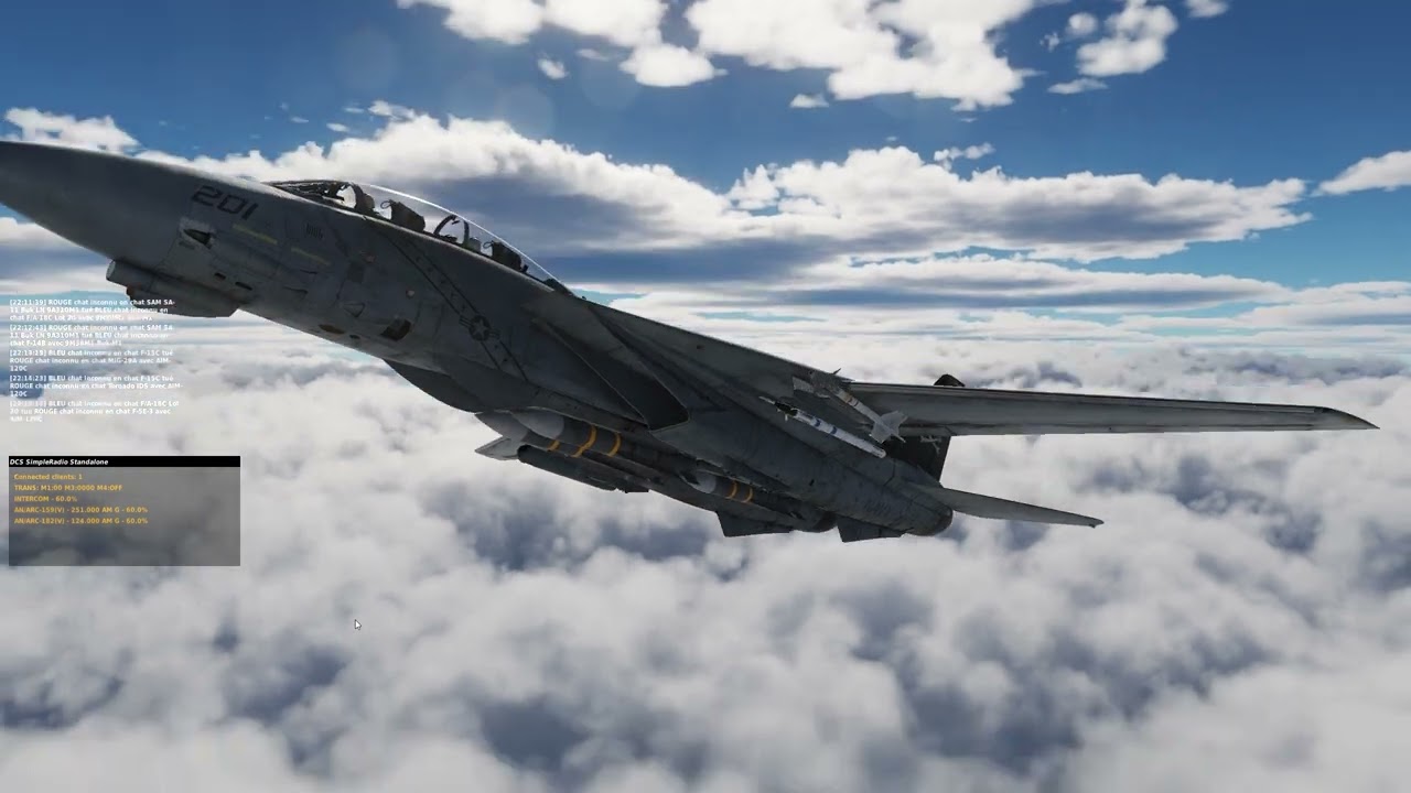 DCS F14B je me suis mangé un SAM...muuummm !