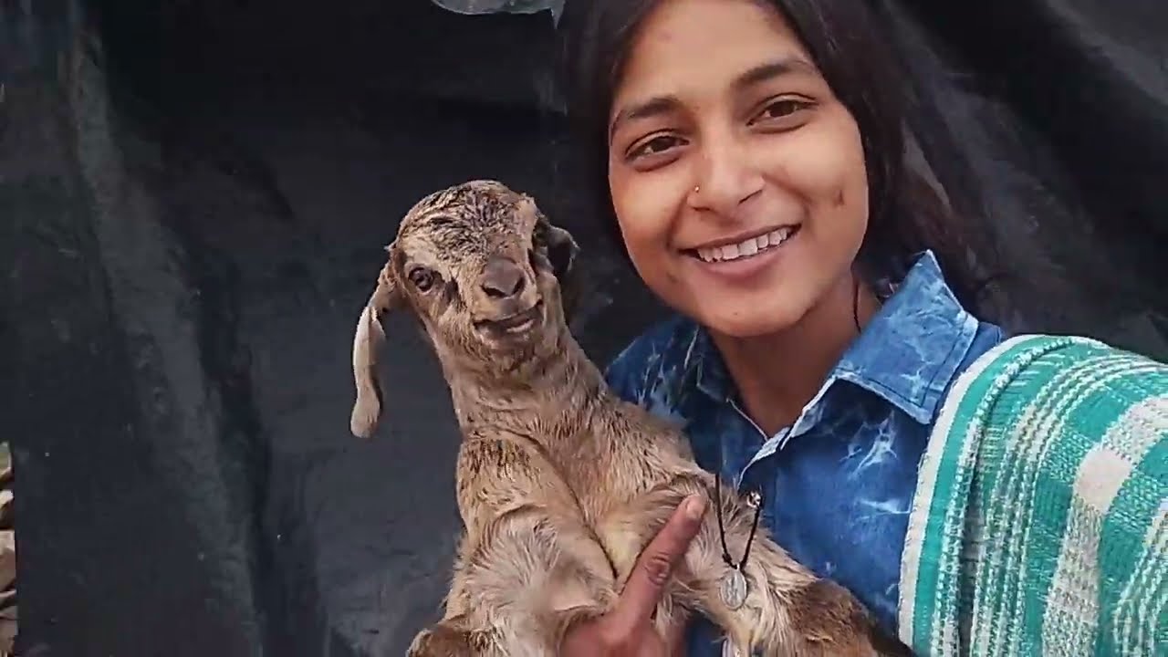 आज मैं गई बहुत दिनों बाद नव्या से मिलने।और वहा बैठ रखी थी बिल्ली।😀😀@soniyabhandarivlog #vlog#phadhi