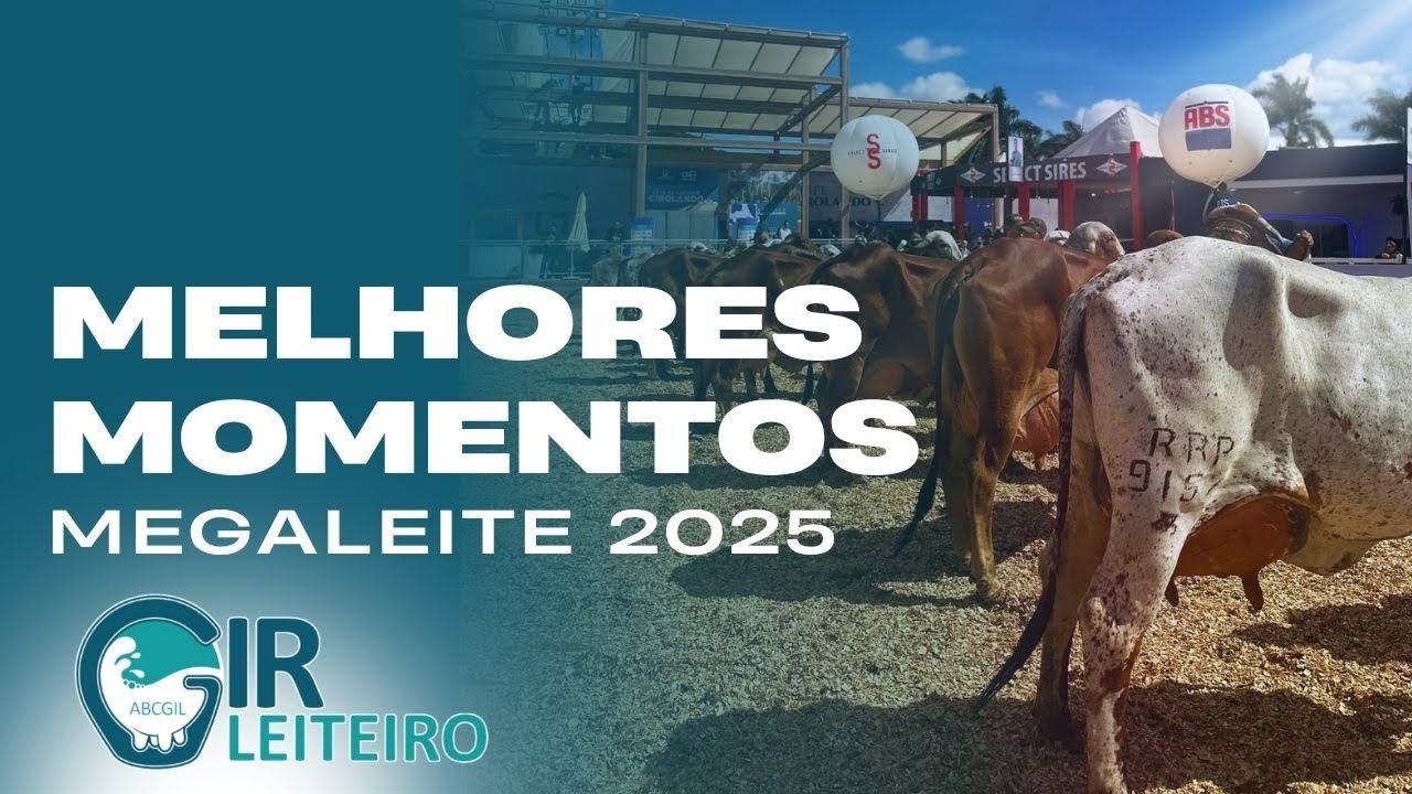 Gir Leiteiro @ Melhores Momentos Megaleite 2025