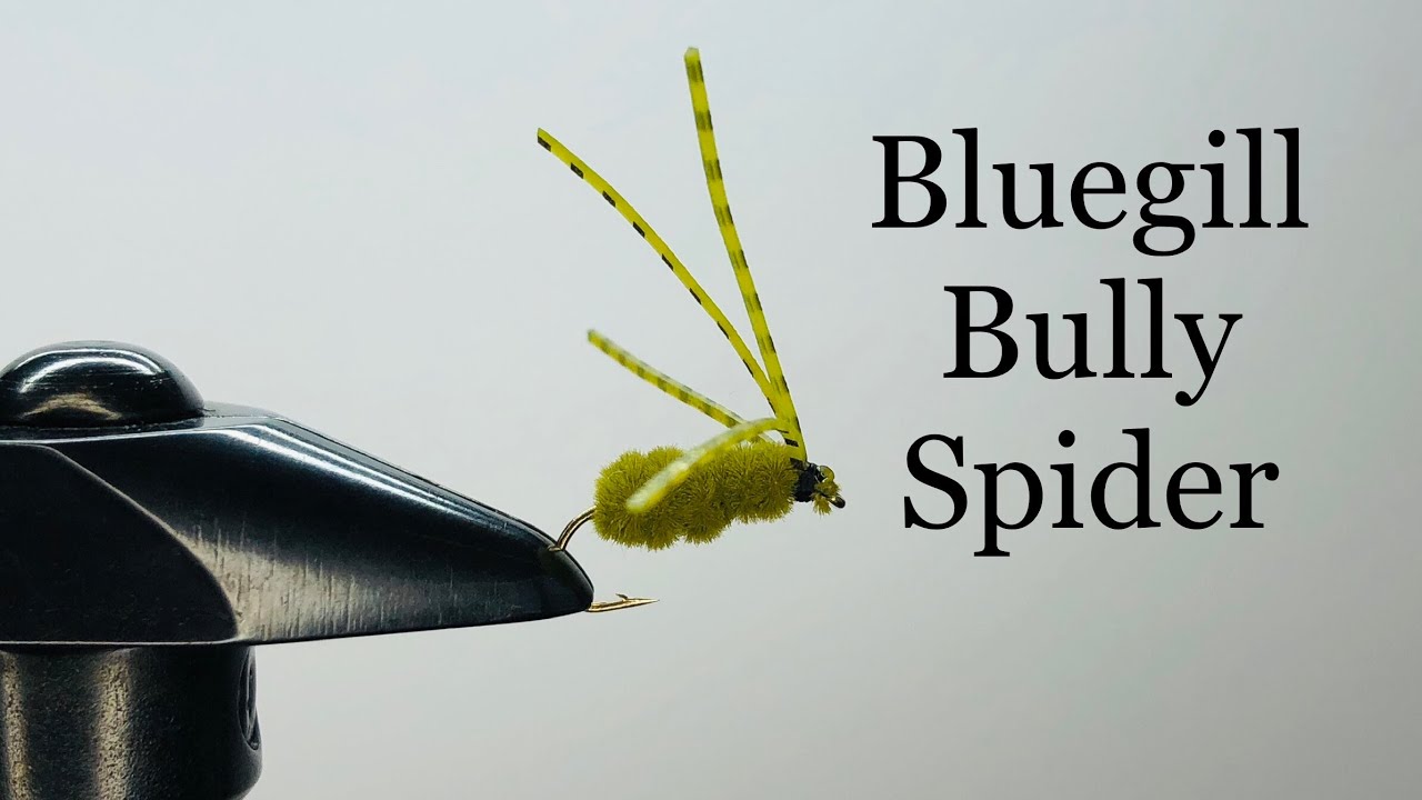 Bluegill Bully Spider Fly Tying.  Panfish Fly Pattern for Bluegill Fly Fishing.  Beginner Fly Tying