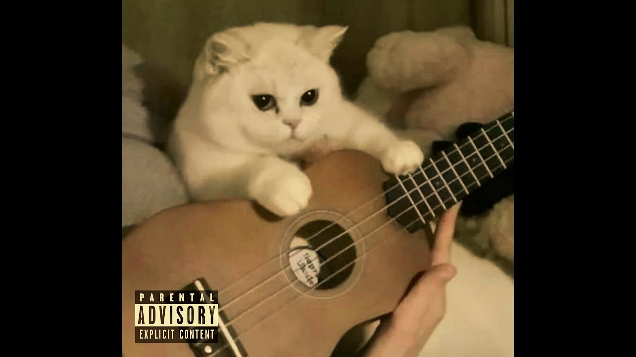 [FREE] Acoustic Ukulele Type Beat 