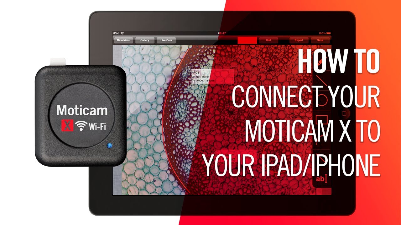 How to connect your Moticam X to your iPad or iPhone | by Motic Europe