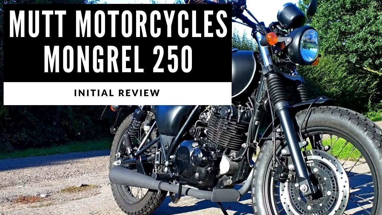 2018 Mutt Motorcycles Mongrel 250 Review - A bigger Mutt with a 250cc engine!