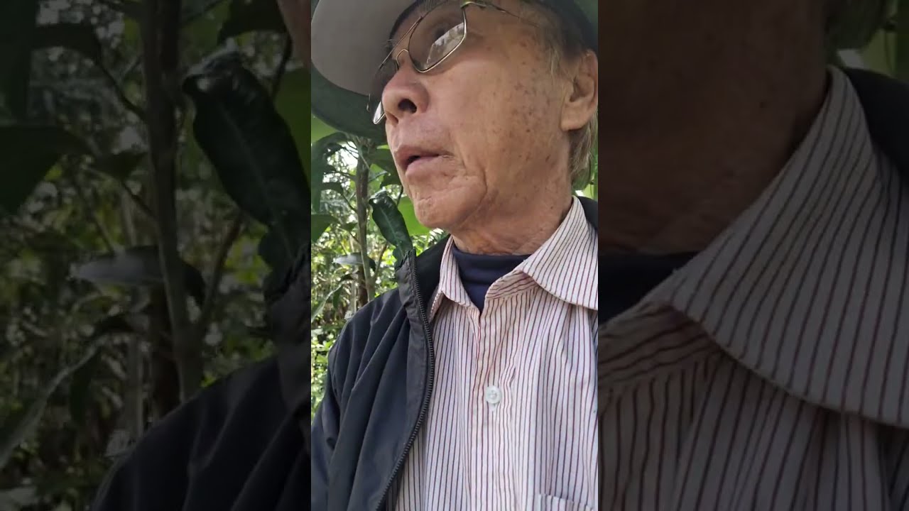 Giới Doãn:FARM_NÔNG NGHIỆP XANH  đang phát trực tiếp!