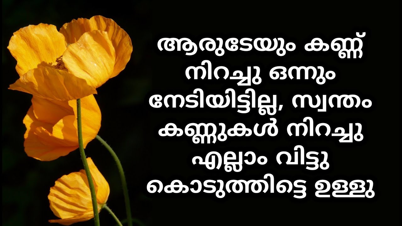 Life Quotes💔😪 | Malayalam Life Quotes | Sad Quotes😪| Feel Quotes | Part  | Must Watch