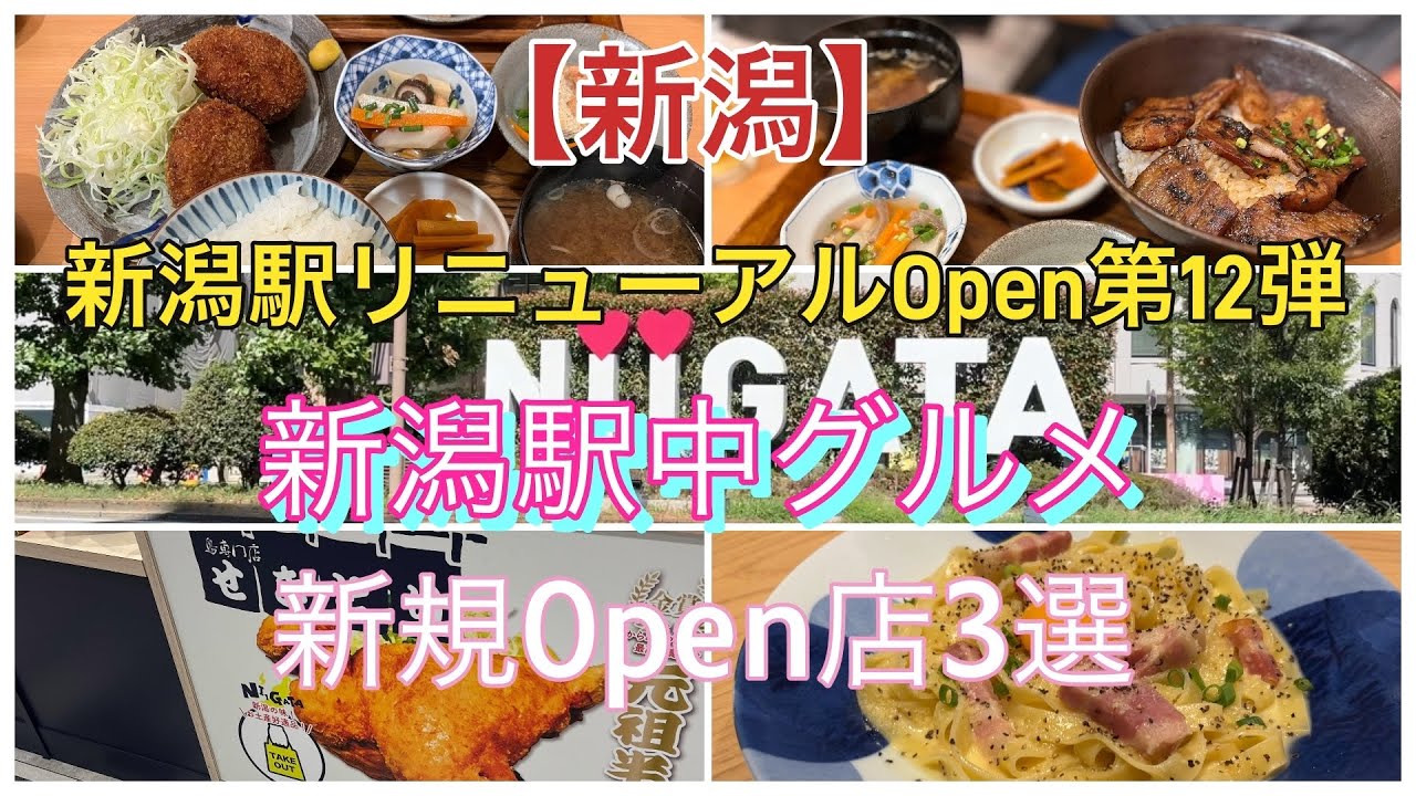 【新潟】新潟駅リニューアルOpen  Part12