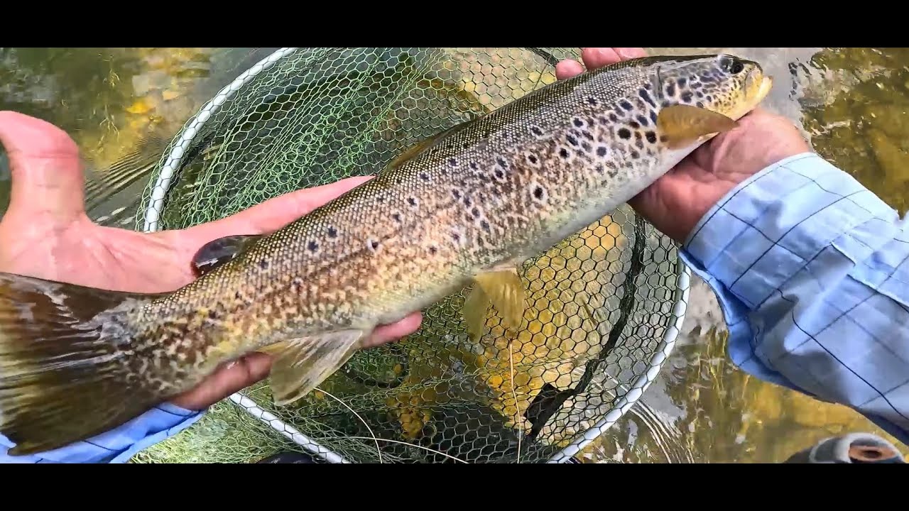LEÓN PARAISO DE LA PESCA. UNAS VECES SE GANA, OTRAS SE PIERDE