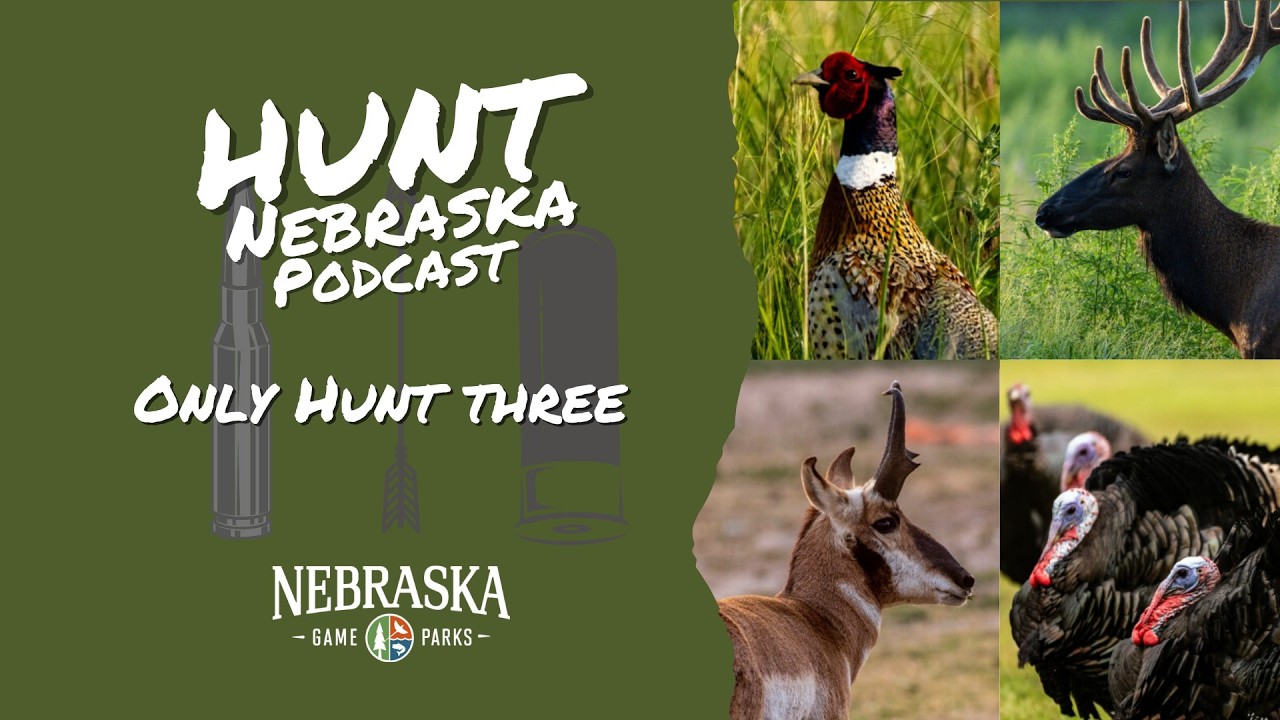 Only Hunt Three