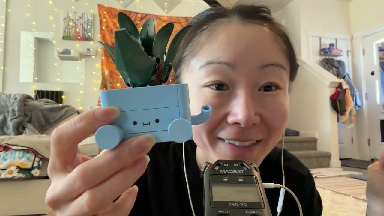 ASMR Overexplaining my Favorite Things with the Tascam 🦁☃️🪴