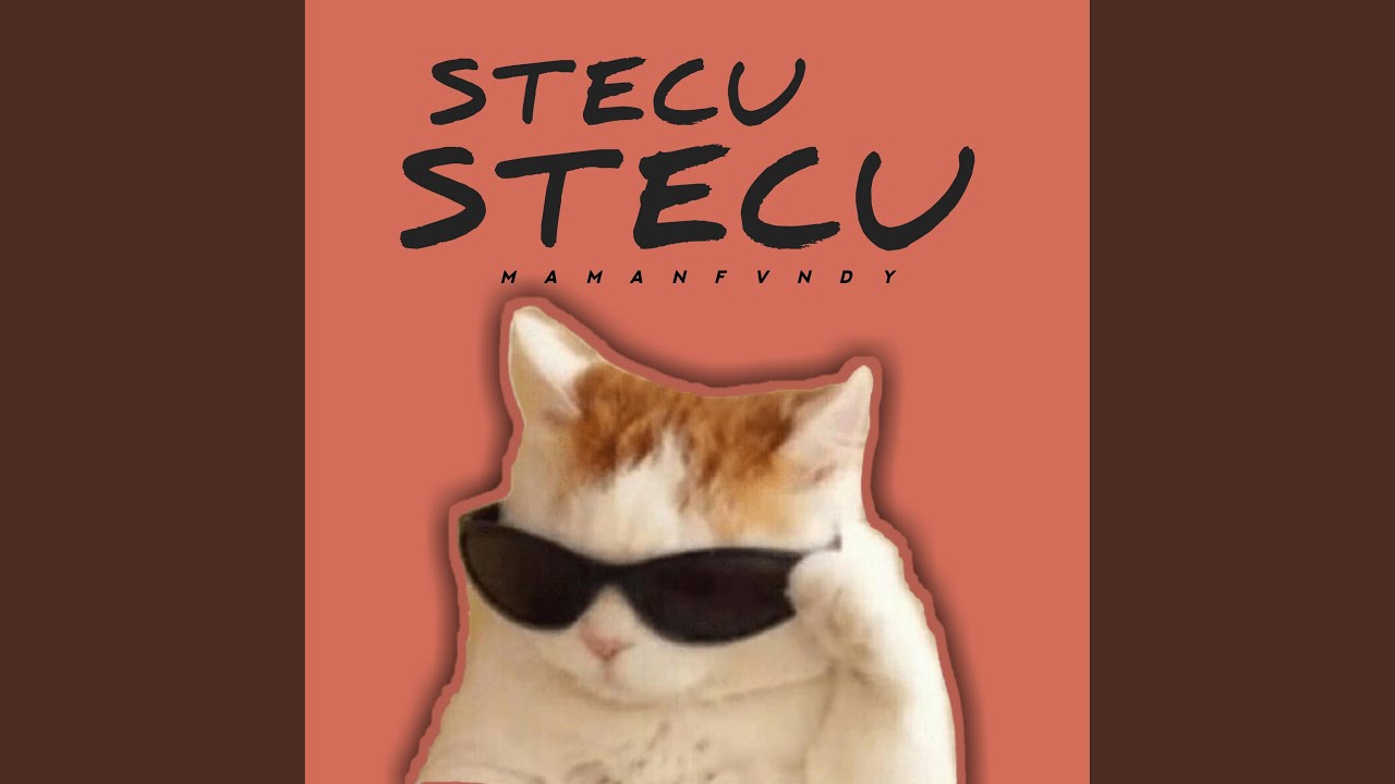 Stecu Stecu