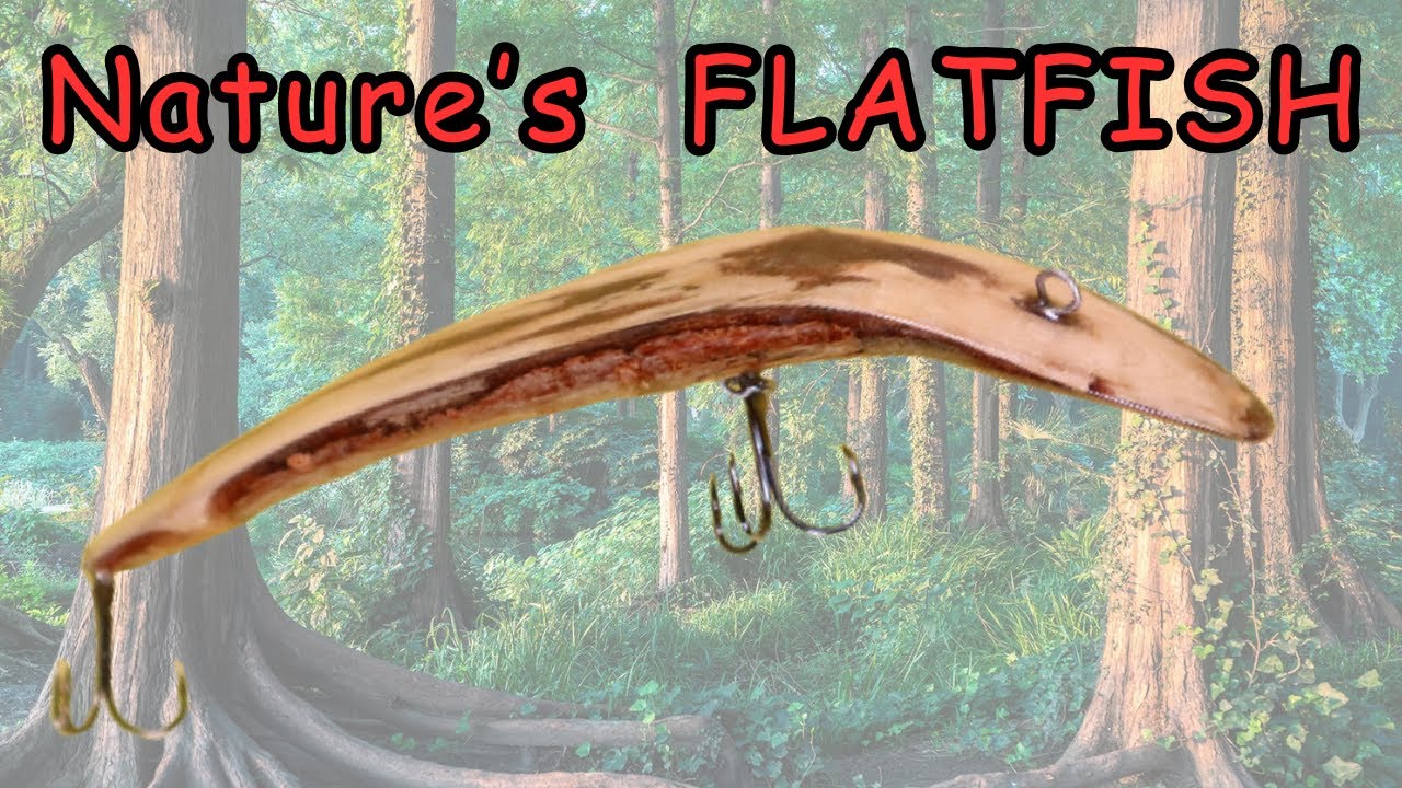 Making a “Live Edge” Flatfish Lure!