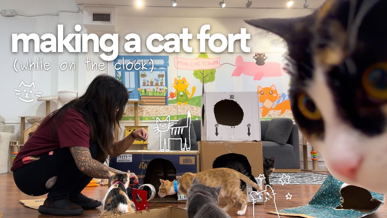 watch me build a cat fort (at work) | cozy chaotic vlog
