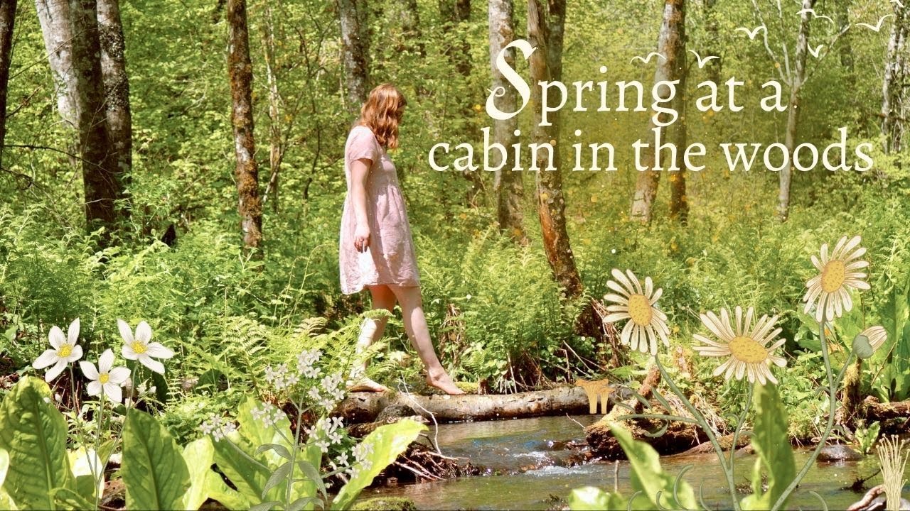 Spring at the Cabin🧚🌿🌷🎨 Forest Wandering, Magical Meadows & Plein Air Sketchbook Painting