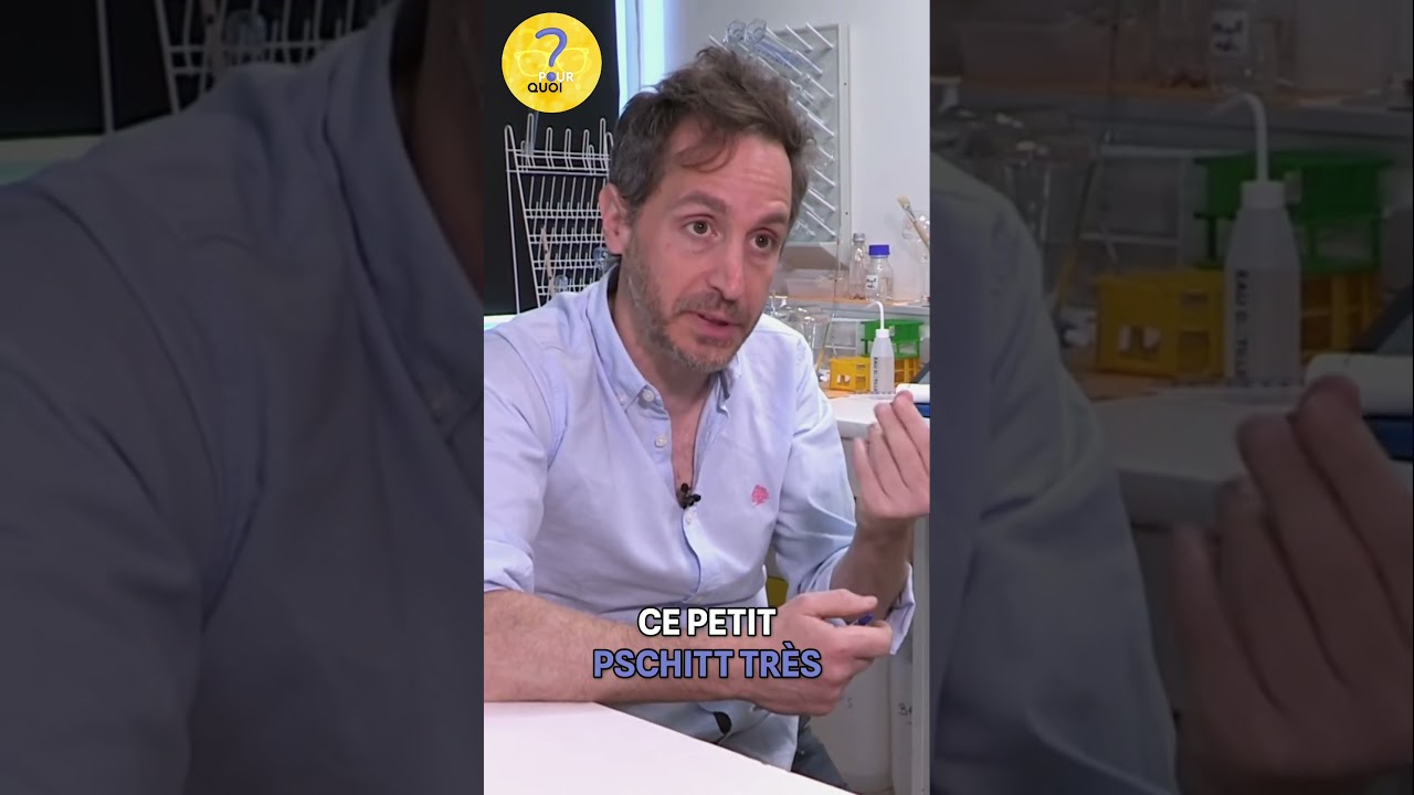 Pourquoi Votre Bouteille Fait Ce Petit Pschitt!