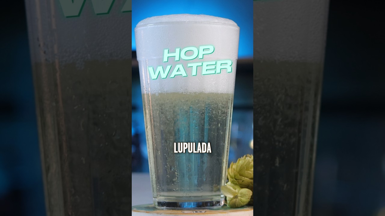 Parece Cerveja, mas n&atilde;o &eacute;! Hop Water
