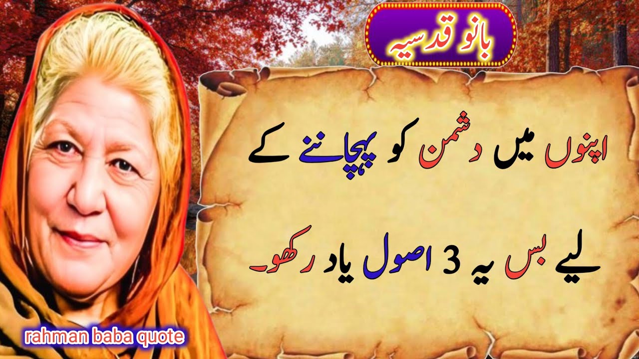 Wisdom Quotes in Urdu | Danai ki Batain |bano qudsiya quote | Life Changing Quotes Urdu |