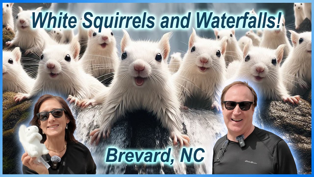 WHITE SQUIRRELS & WATERFALLS! 😮 Brevard, North Carolina