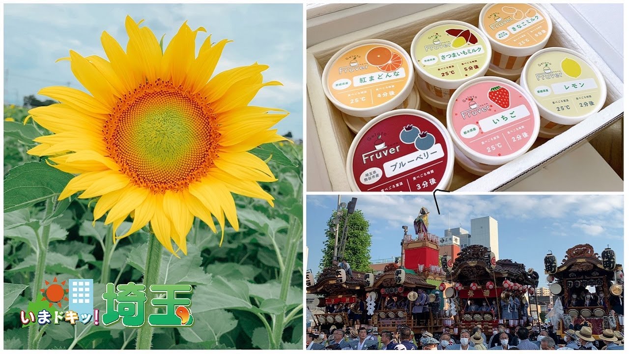 暑いまち熊谷の夏到来！ひんやりスイーツと11月まで楽しめるひまわり？【いまドキッ！埼玉】2022.7.30放送