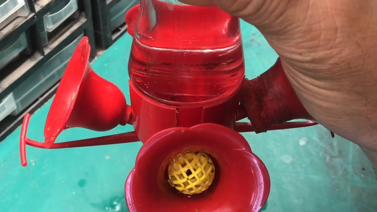 fixing a LEAKING hummingbird feeder that “attracts ants”