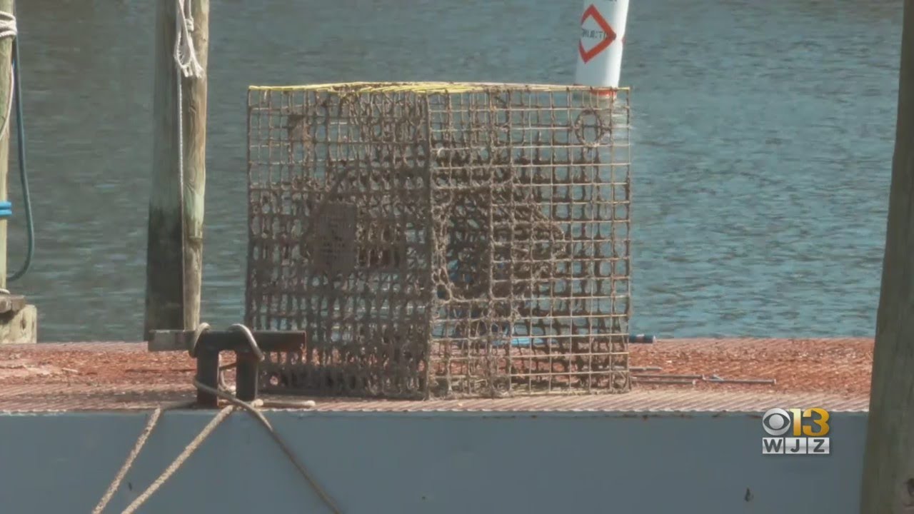 Coffee With: Crab Pot Recovery Project