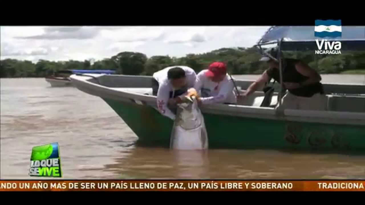 Realizan Torneo de Pesca en Río San Juan