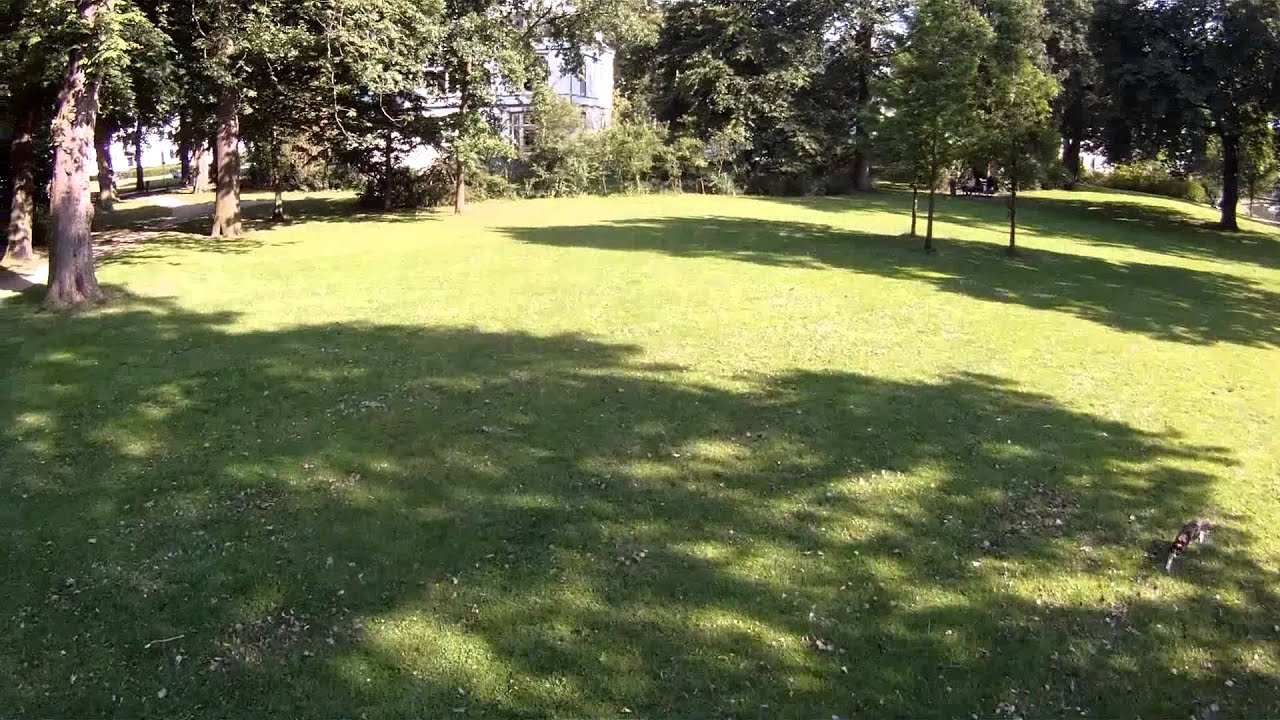 Team Mosquitos FPV 2015/08/02
