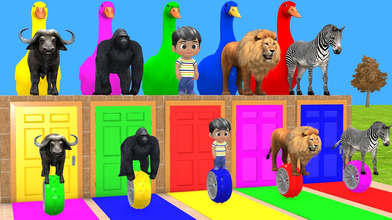 Long Slide Game With Elephant Gorilla Buffalo Hippopotamus Tiger 3d Animal Game Funny 3d Animals