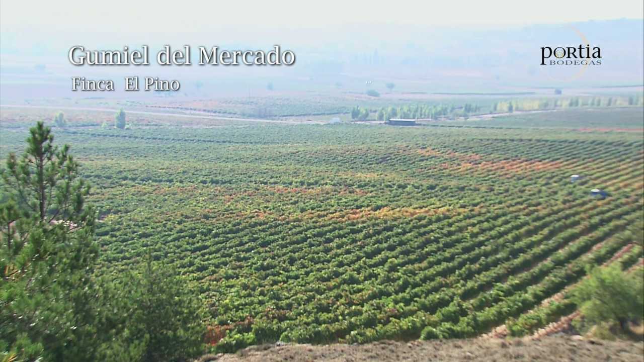 Bodegas Portia: Proceso de elaboración / Bodegas Portia: Wine making Process