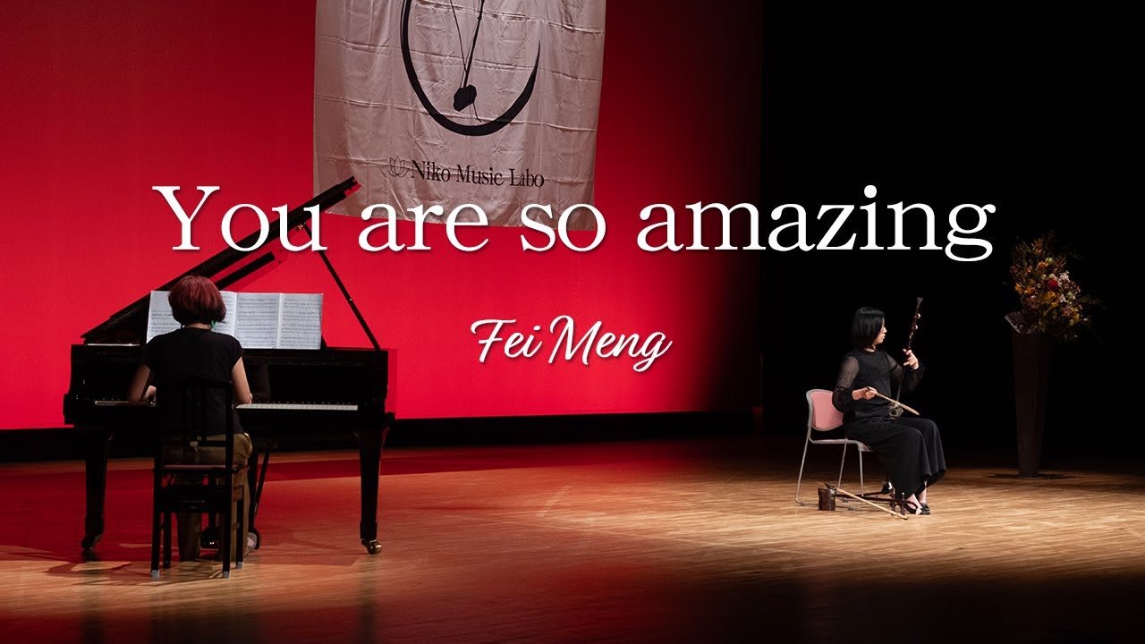 You are so amazing 二胡奏者 孟菲 Fei Meng 二胡 Erhu