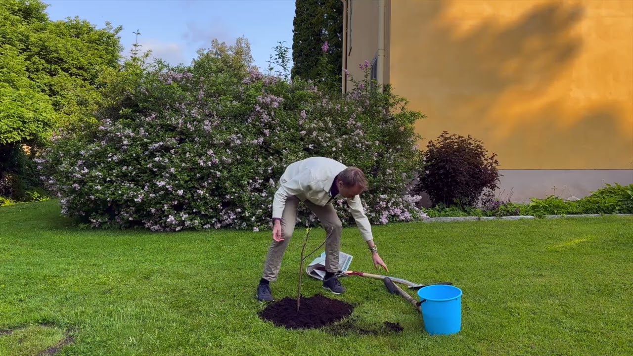 Biskop Mikael Mogren planterar ett träd och avslöjar dessutom en hemlighet!