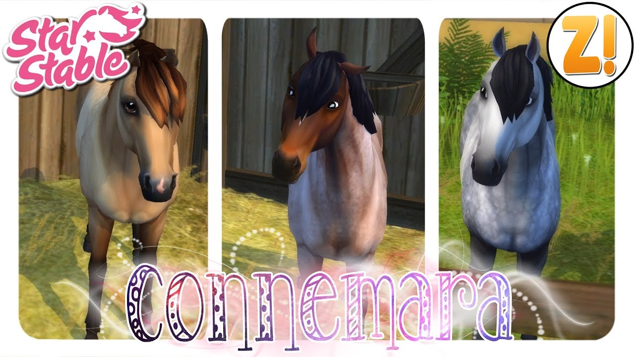 Star Stable [SSO]: Das Connemara Pony [PFERDEKAUF] [DEUTSCH]