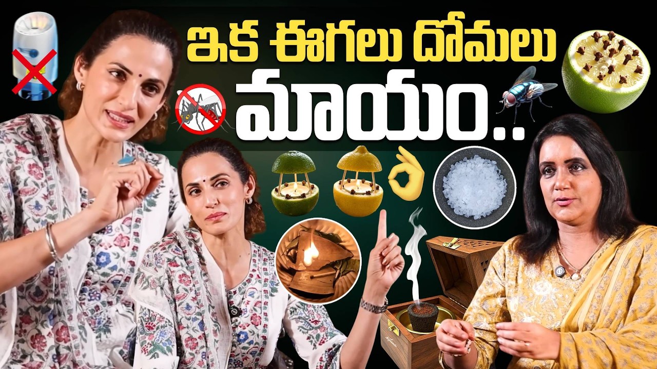 ఇక ఈగలు దోమలు మాయం ఇంట్లో చిట్కాలు! How to Prevent Mosquitoes in Home |Fashion Designer Shilpa Reddy