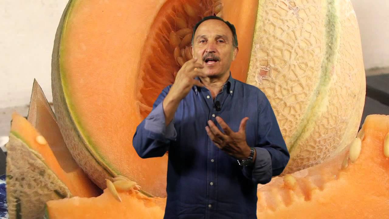 Ore 12.00-OCCHIOTV: come scegliere il melone.