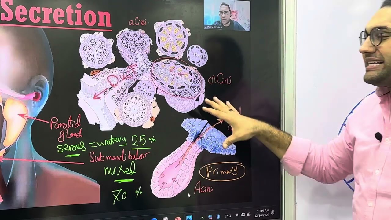 GIT physiology -3 (Salivary Secretions) القصر العيني