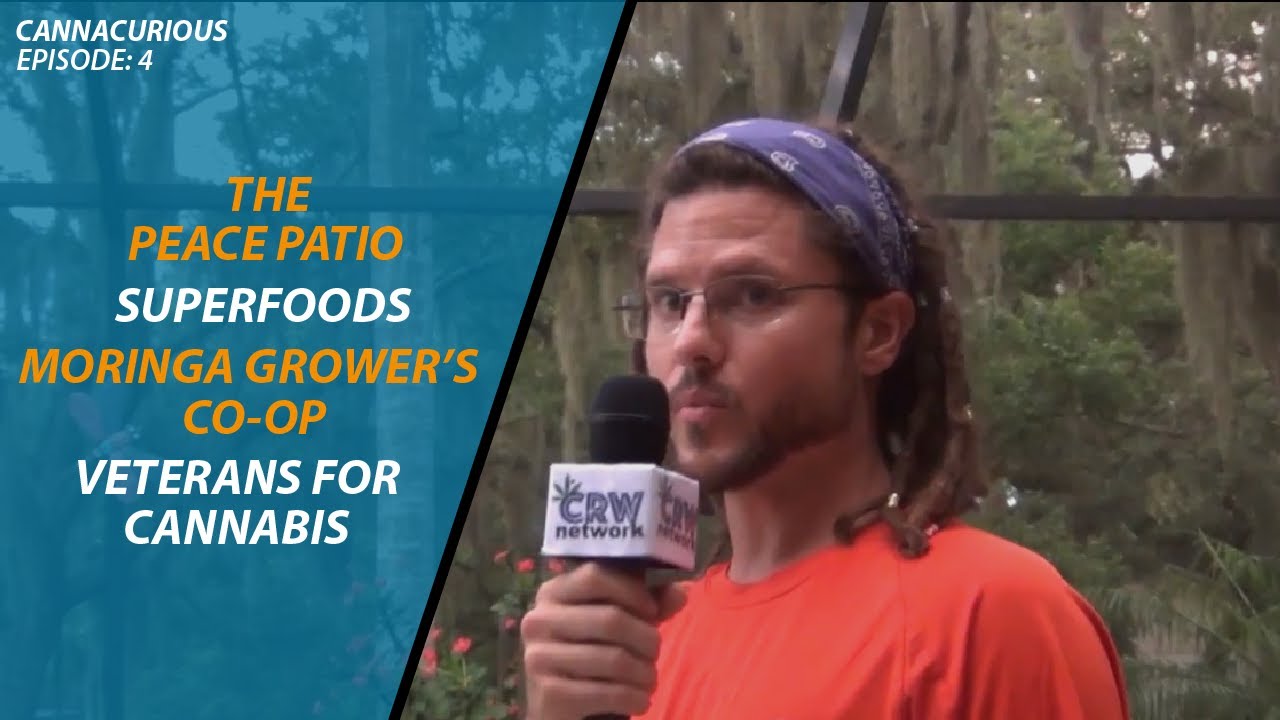 CannaCurious Ep: 4-The Peace Patio (Superfoods, Moringa Grower's Co-Op, Veterans For Cannabis)