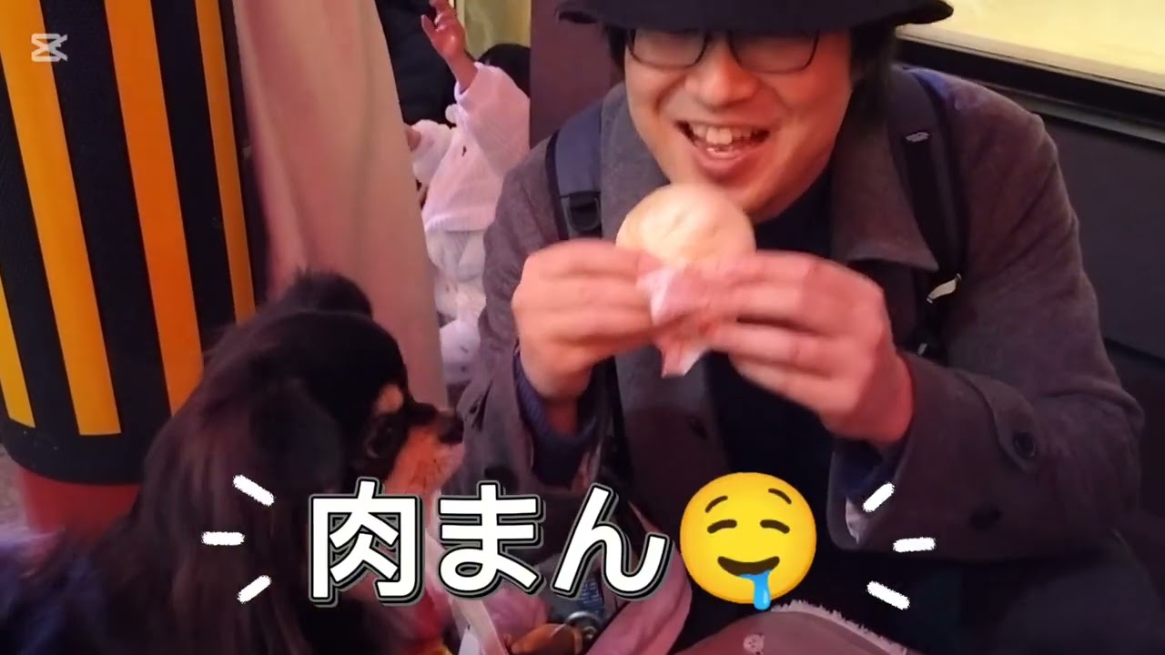 だらパパ🐶長崎ランタンフェスティバル2026に行ってきました✨