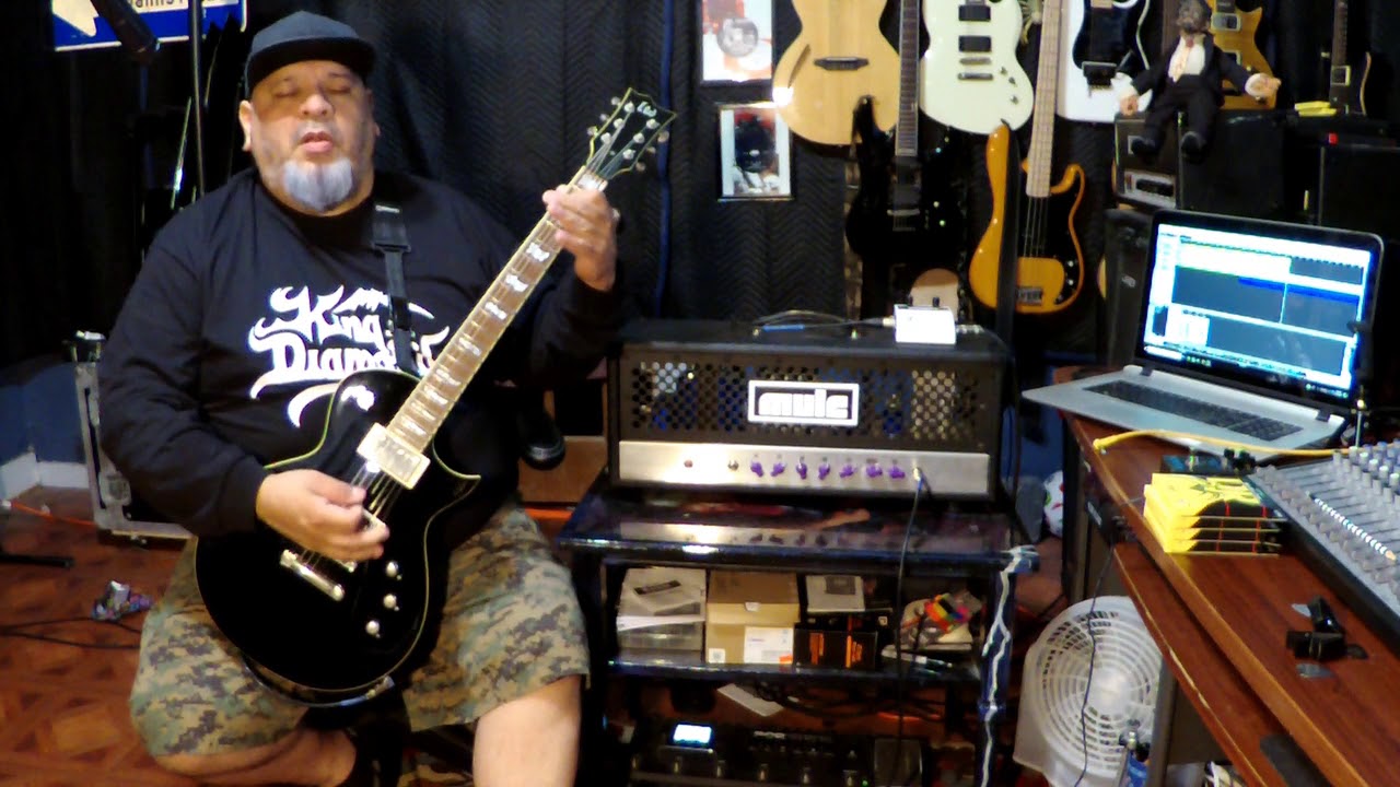 ESP LTD EC 400AT & Mule High Gain  Amp