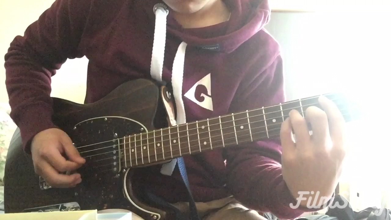SCHECTER MONSTERTONE 換装 比較