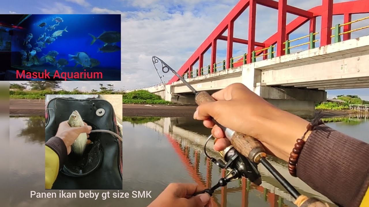 Mancing di perbatasan air keruh dan bening hasilnya tak terduga😍...#fishing #muaracongot 