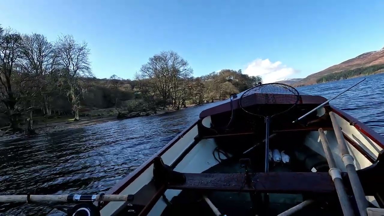 Rainbow Trout Escape Loch Tay Update